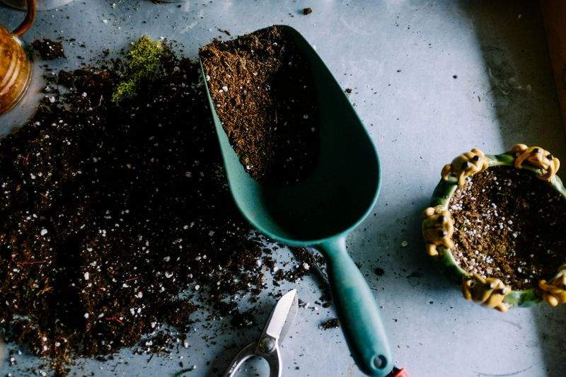 Préparer son jardin pour le printemps en douceur