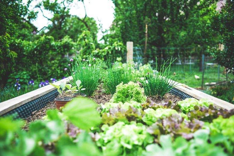 Arrosage malin : adopter les bons réflexes en hiver