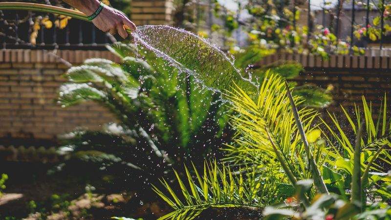 Rafraîchissement saisonnier du jardin pour une petite cour urbaine