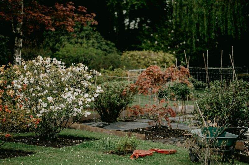 Jardins Harmonie Pro 12