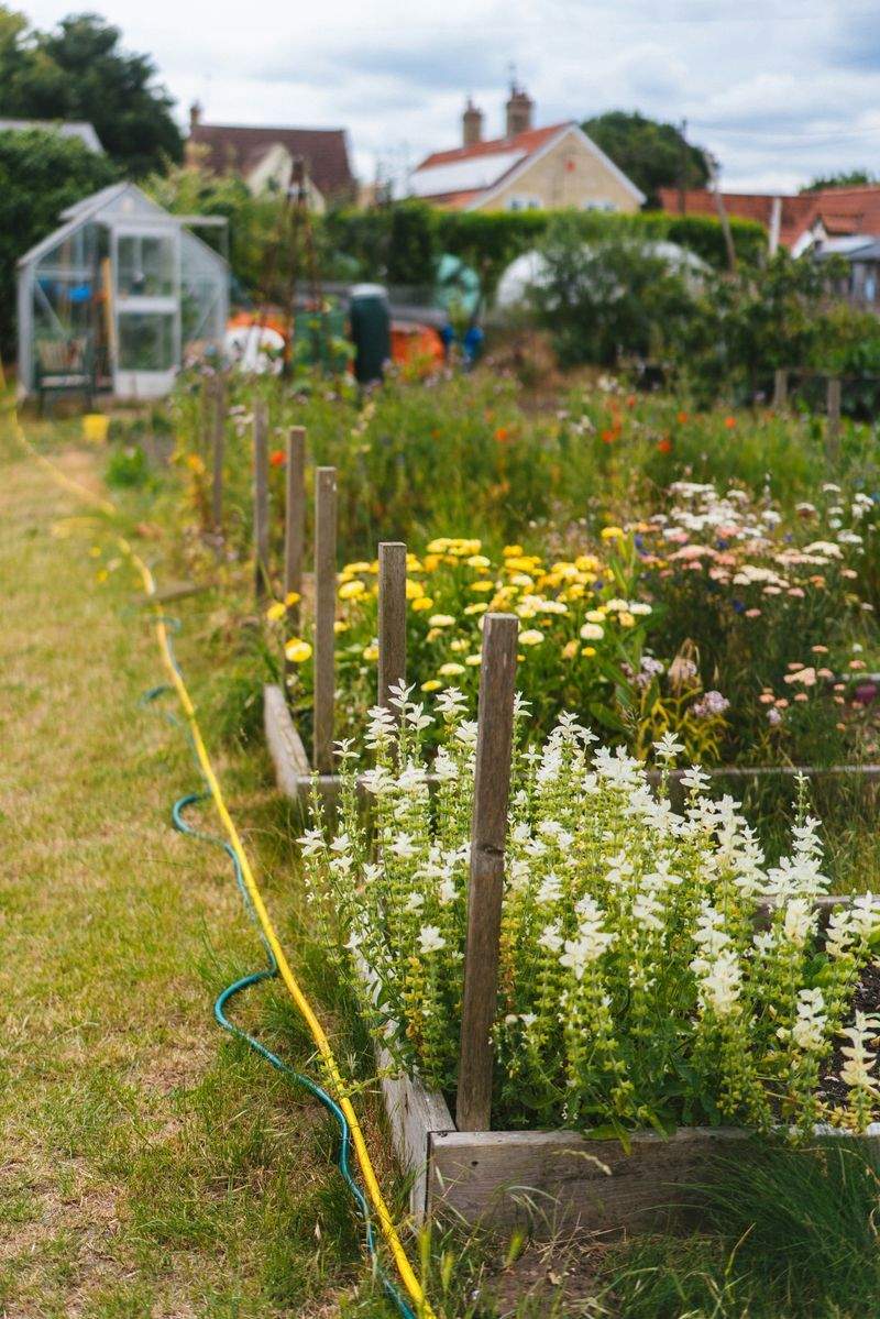 Jardins Harmonie Pro 15