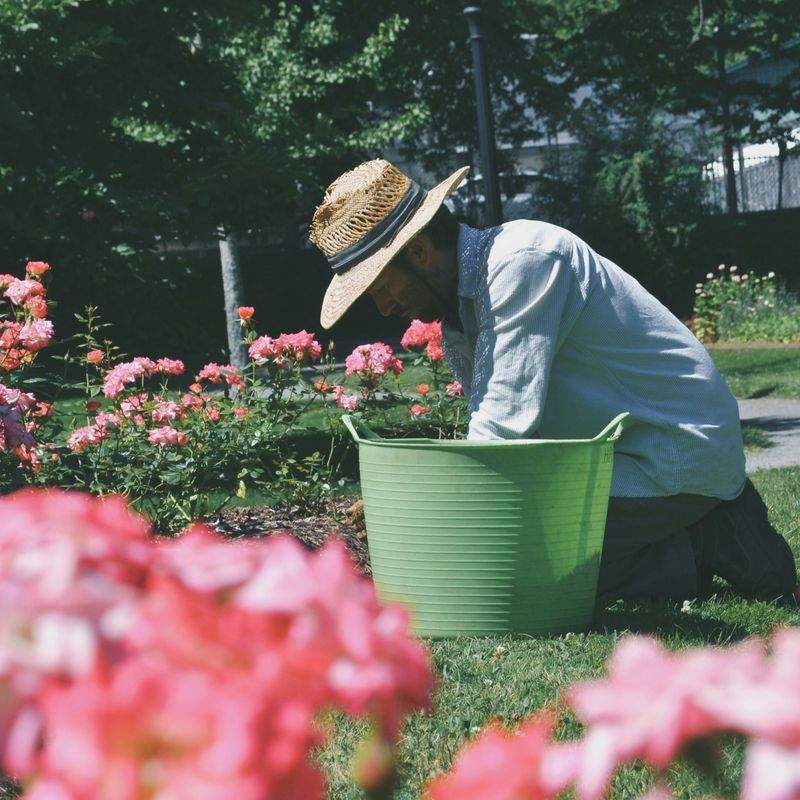 Jardins Harmonie Pro 5