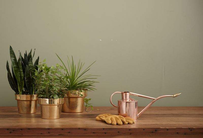 Jardins Harmonie Pro 6